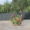Brise-vue / occultant PVC