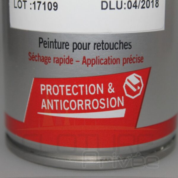 Bombe de peinture